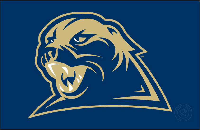 Pittsburgh Panthers 2006-2009 Secondary Logo diy DTF decal sticker